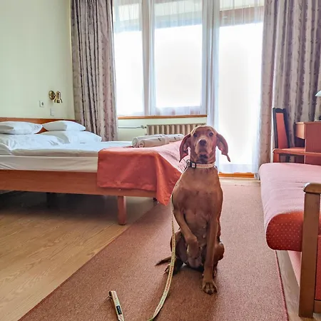 Apartman Hotel Hotel 3*