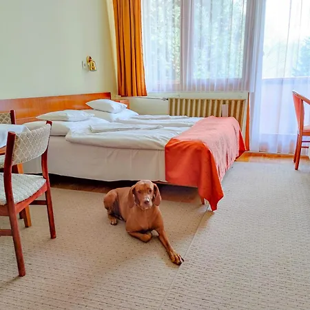 Apartman Hotel 3* Bük