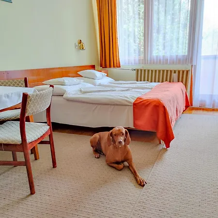 Hotel Apartman Hotel Buk