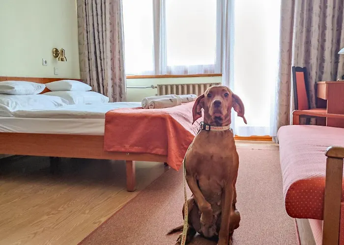 Apartman Hotel Отель 3*