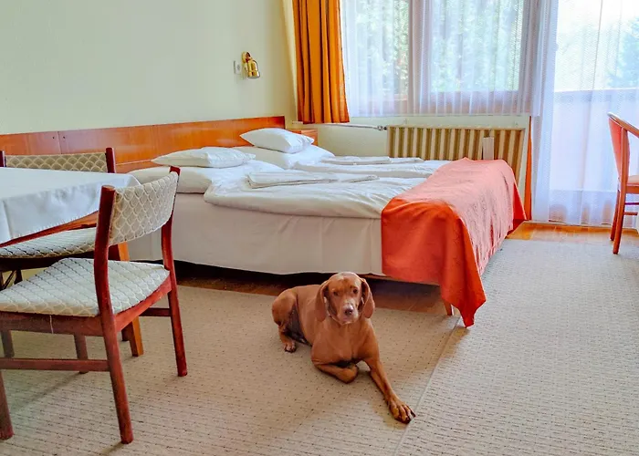 Отель Apartman Hotel Бюк